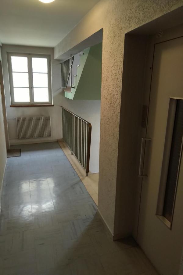 Appartement Spacieux Et Cosy - Strasbourg Centre Kültér fotó