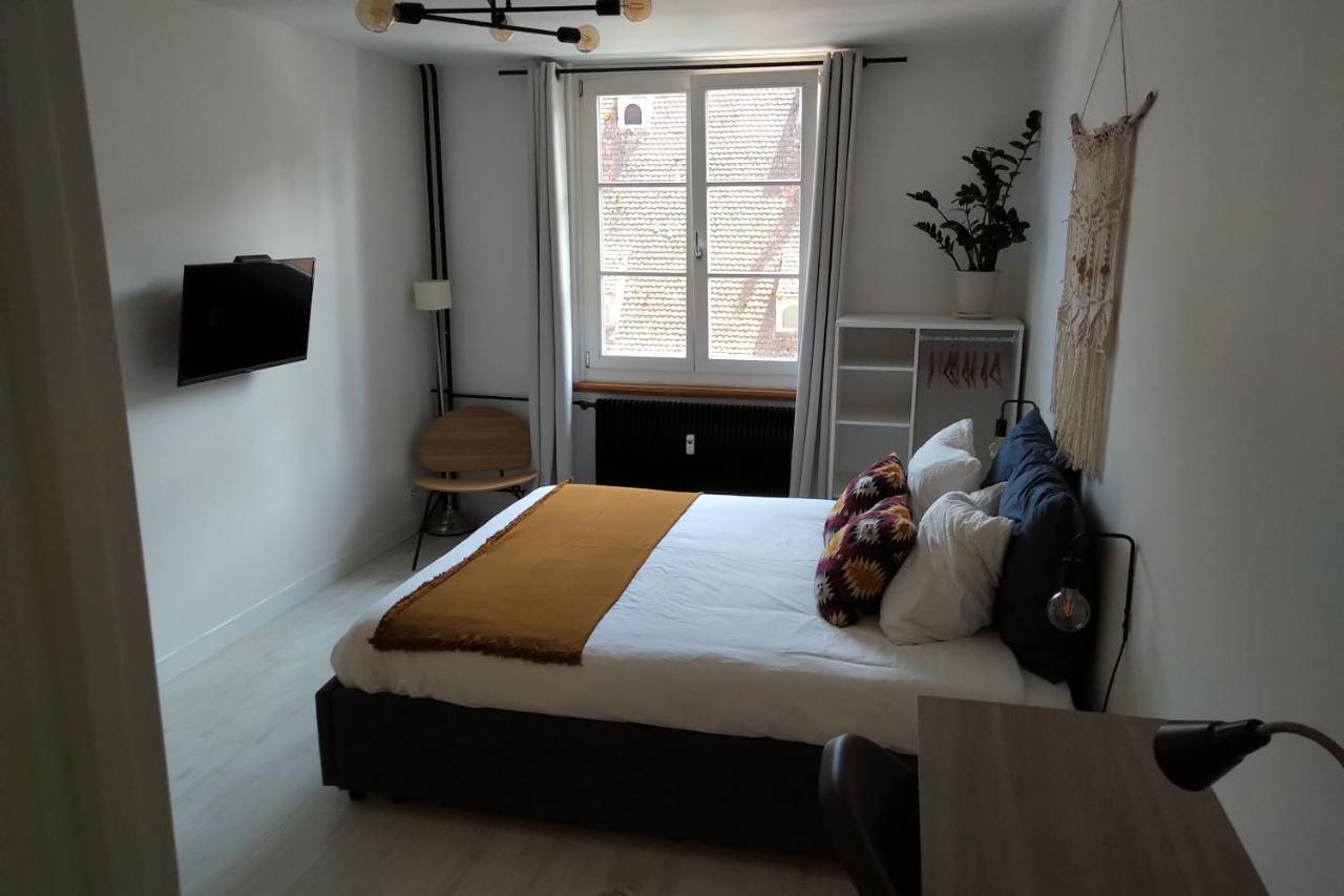 Appartement Spacieux Et Cosy - Strasbourg Centre Kültér fotó